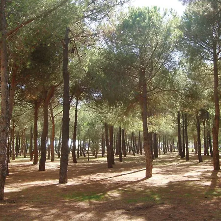 Apartment Gorgeous In Argeles Sur *