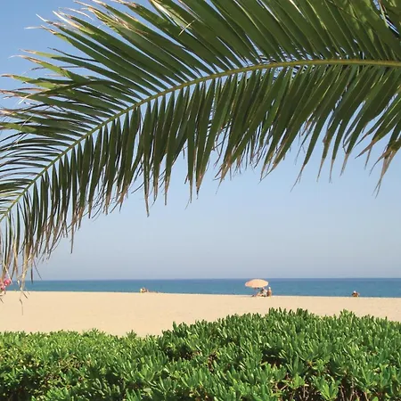 Apartman Gorgeous In Argeles Sur